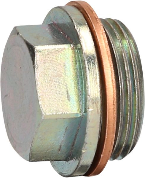 KS Tools olieaftapschroef M26 x 1,5 x 20 mm voor DAF, 430.0618