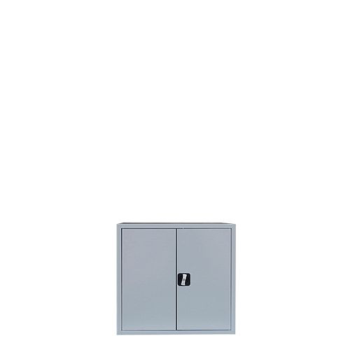 Lüllmann archiefkast/vleugeldeurkast, 750 x 800 x 380 mm, lichtgrijs/lichtgrijs, 530300