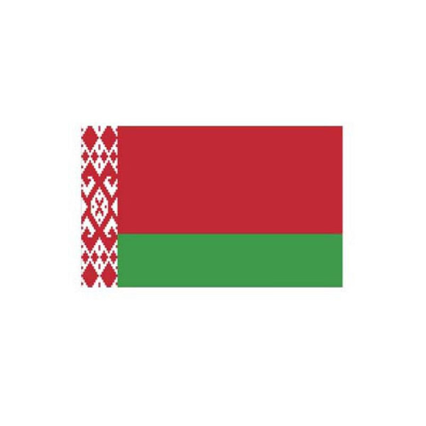 Stein HGS HGS landvlag Wit-Rusland (Wit-Rusland), 150 x 250 cm (liggend formaat), met touw en lus, FlagTop 160 g/m², voor vlaggenmasten vanaf 8 m, zonder ajourzoom, 26777