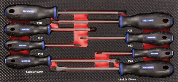 Projahn schroevendraaierinzet "gemengd" 8 stuks PH + PZ + gleuf, 5999-071