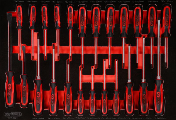 KS Tools schroevendraaierset in schuimrubberen inzetstuk, 24-delig, 811.0024