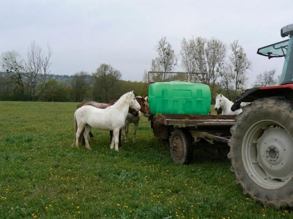 Cemo PE vat 2000 L, koffervormig met scharnierend deksel, 8381