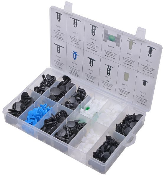 SW-Stahl bevestigingsclip assortiment, Fiat, 308 delig, S8021