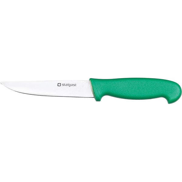 Stalgast schilmesje, HACCP, groen handvat, roestvrijstalen lemmet 10 cm, MS0982100