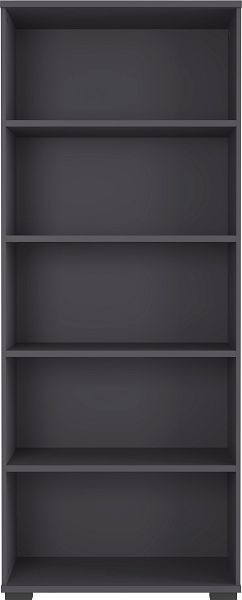 GERMANIA GW-PROFI 2.0 archiefplank 4248 grafiet, hoogte 200 cm, 4248-547