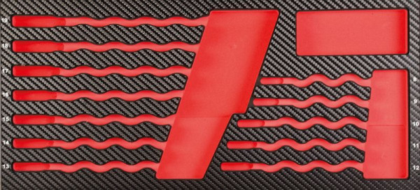 Projahn ProForm insert leeg voor GearTech schakelbaar, 5999-04E