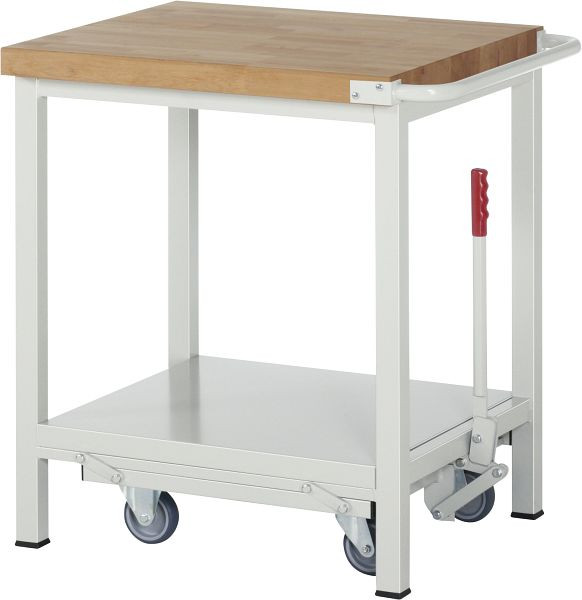 RAU werkbank met neerlaatbaar onderstel serie 8000, 750x880x700 mm, 05-8000-6-077B4F.12