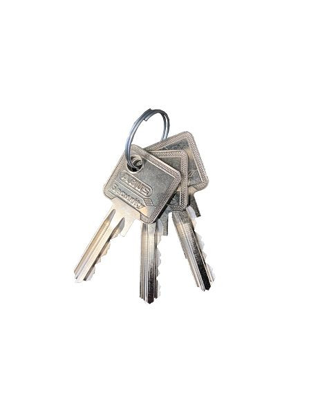 Schake profielcilindersleutel, meervoudige sleutel voor profielcilinder, 470_55