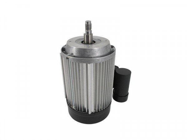 Speidelmotor voor de pitmachine, 69101