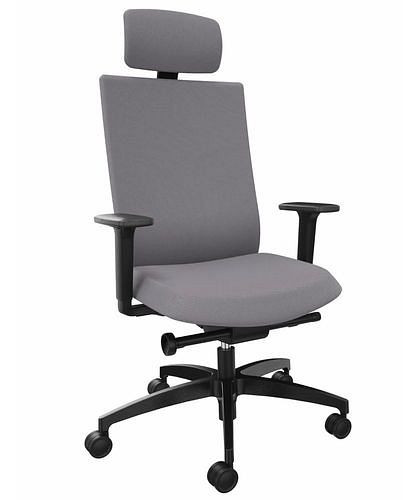 DENIOS bureaustoel AdJust evo, Syncro-Evolution technologie, neksteun, grijs, 292411
