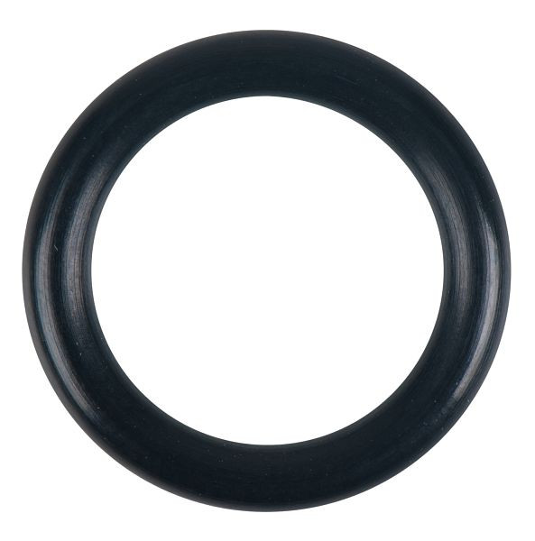 KS Tools O-ring, 515.3250-R008P