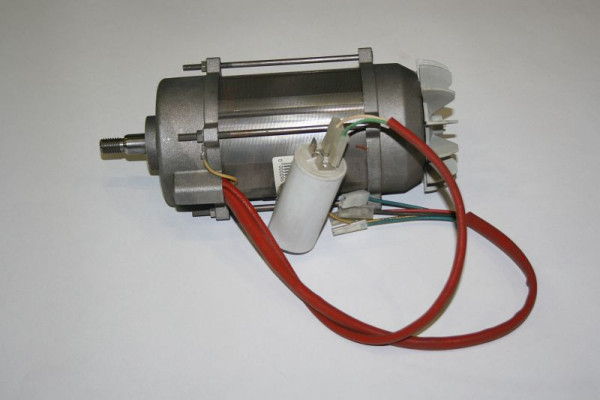 ELMAG-motor compleet voor QUEEN 230, 9601226