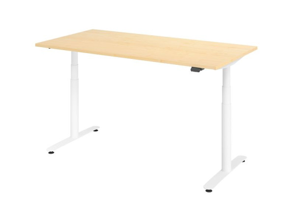 Hammerbacher zit-sta bureau elektrisch 160x80cm esdoorn/wit, VXDLR16/3/W