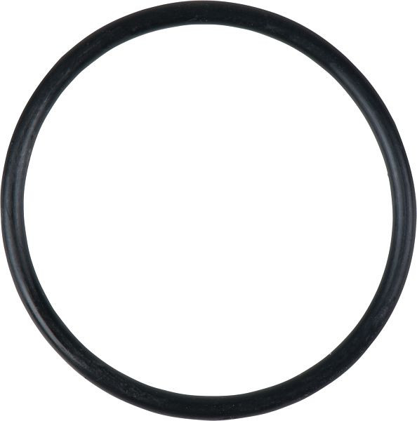 KS Tools O-ring, 515.1980-R019P