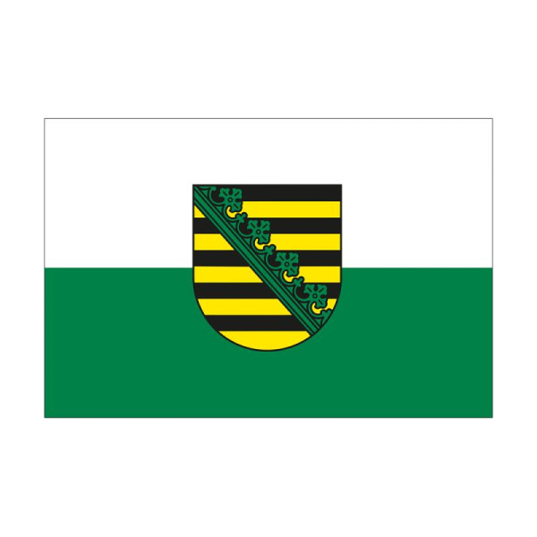 Stein HGS HGS deelstaatvlag van Saksen, 150 x 250 cm (liggend formaat), met touw en lus, FlagTop 110 g/m², voor vlaggenmasten vanaf 8 m, zonder ajourzoom, 26556