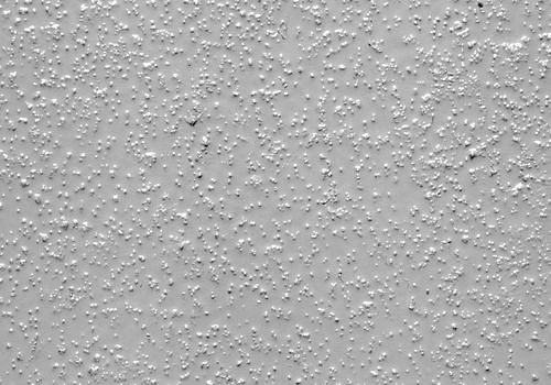 DENIOS epoxyhars antislipcoating, extra sterke korrel fijne lichtgrijs, 5kg, 272157