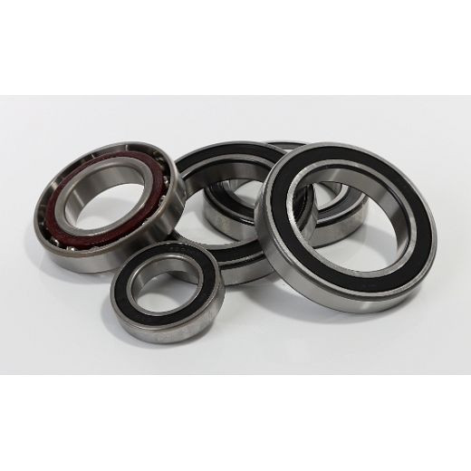 ELMAG lagerset voor hoekoverbrenging nr. 3,8,35,38, voor WFM 310 Servodrive, 9803011
