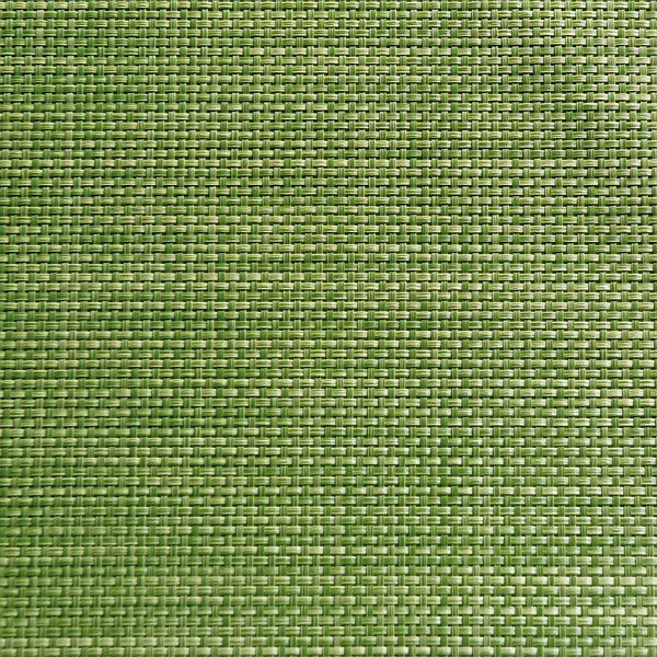 APS placemat - appelgroen, 45 x 33 cm, PVC, smalle band, verpakking van 6, 60521
