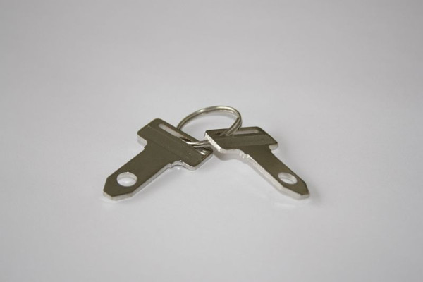 ELMAG startsleutel voor stroomgeneratoren, Eurostrom-serie voor ModelES 5500WE/25-AVR en ES 6000WDE/27-AVR, 9503675