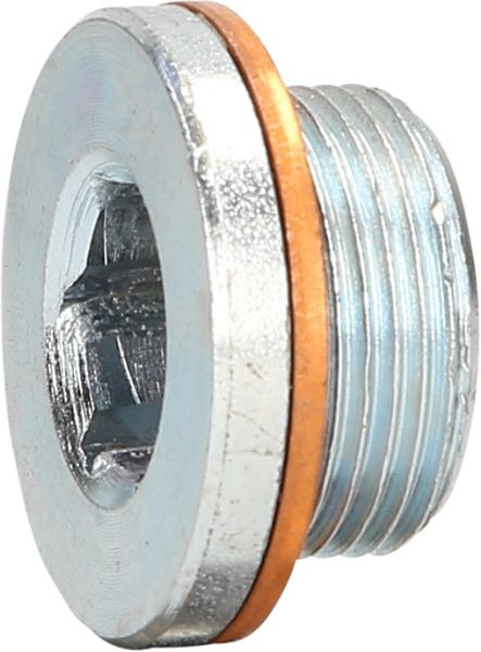 KS Tools olieaftapplug M24 x 1,5 x 16 mm voor Renault, 430.0601