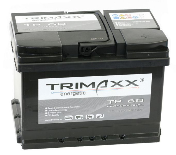 IBH TRIMAXX energetische &quot;Professional&quot; TP60 per startaccu, 108 009200 20