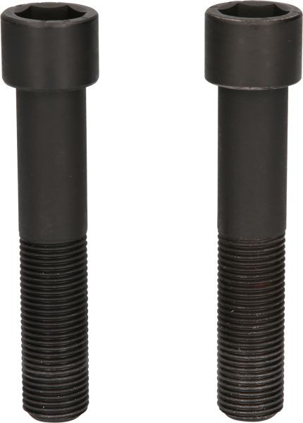 KS Tools bevestigingsschroeven, lang, M16x1,5, lengte 96 mm, verpakking van 2, 460.3786