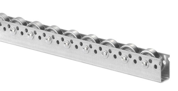 BS rollen rollenrail met stalen rollen diameter 48 mm, steek 50 mm, 423.000