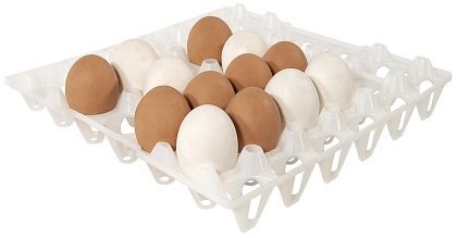 Contacto bakje voor 30 eieren, wit, 8034/030