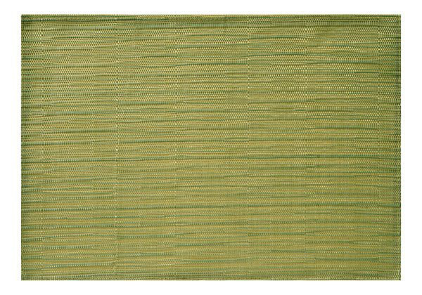 APS placemat - groen, 45 x 33 cm, PVC, smalle band, 60528