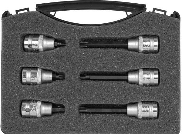 SW stalen schroevendraaierinzetstukken, 1/2", T-profiel, T30-T50, 6-delig, S5116