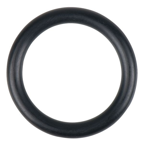 KS Tools O-ring voor pompventiel, 150.9258-R004P