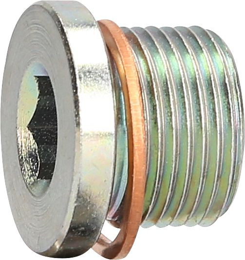 KS Tools olieaftapschroef M20 x 1,5 x 18 mm voor Mercedes, 430.0614