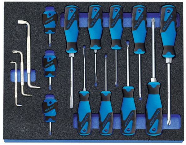GEDORE controle-gereedschapsinzet met schroevendraaierset-assortiment, 2016311