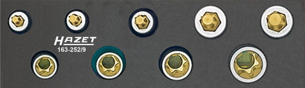 Hazet gereedschapsset, TORX®, hol vierkant 10 mm (3/8 inch), buiten TORX® profiel, binnen TORX® profiel, E8 - E14, T25 - T50, aantal gereedschappen: 9, 163-252/9