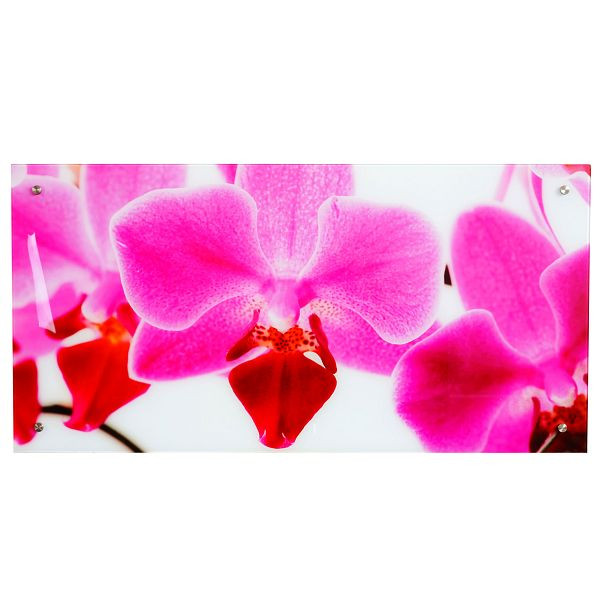 Mendler glas foto T115, muurschildering poster motief, 50x100cm, orchidee, 34248