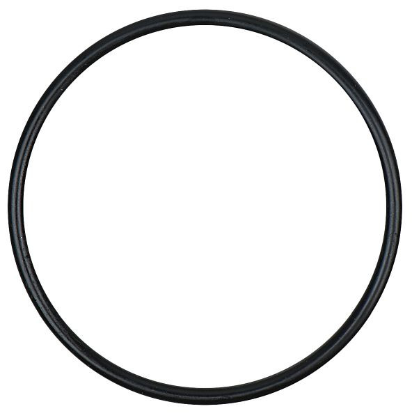 KS Tools O-ring, 515.3061-R021P