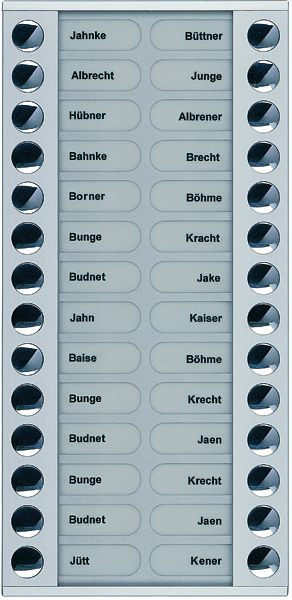 TCS beldrukkeruitbreiding voor audio voordeurstation serie PES/AVE 28 beldrukkers (rechts/links uitgelijnd), AP zilver, PET28-EN/04