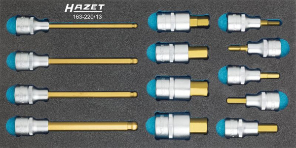 Hazet schroevendraaierdopsleutelset, hol vierkant 12,5 mm (1/2 inch), binnenzeskantprofiel, aantal gereedschappen: 13, 163-220/13