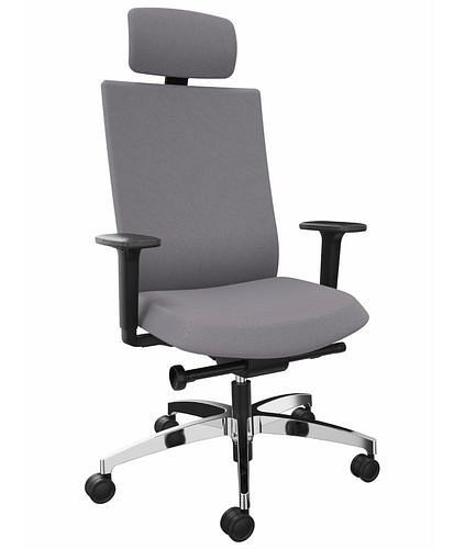 DENIOS bureaustoel AdJust evo, Syncro-Evolution technologie, aluminium onderstel, neksteun, grijs, 292412