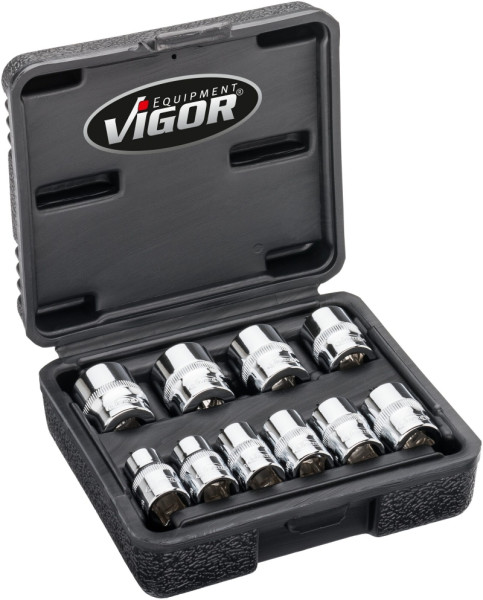 VIGOR dubbele inbussleutelset, hol vierkant 10 mm (3/8 inch), extern dubbel zeskantprofiel, aantal gereedschappen: 10, V7538/10