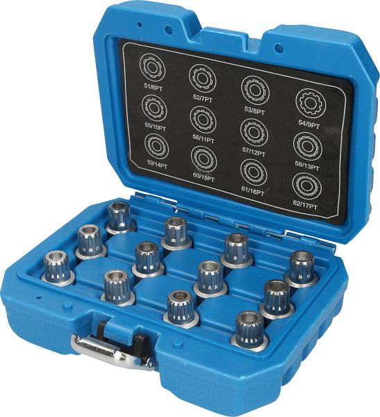 Brilliant Tools velgslotassortiment voor VW, 12 stuks, BT691190