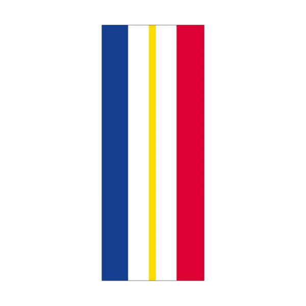 Stein HGS HGS staatsvlag van Mecklenburg-Voor-Pommeren (zonder wapen), 300 x 120 cm (staand formaat), met karabijnhaak, FlagTop 110 g/m², voor vlaggenmasten 7 m, met ajoursteek voor Ø 4 cm giek, 26392