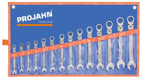 Projahn GearTech sleutelset, flexibel oprolbaar etui 14-delig, 3493