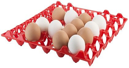 Contacto tray voor 30 eieren, rood, 8034/031