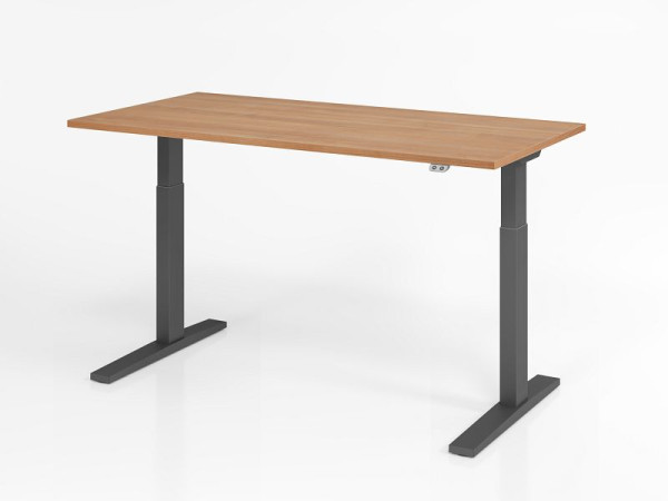 Hammerbacher bureau XMKA16, 160 x 80 cm, blad: walnoot, 25 mm dik, ABS dikke rand, rechthoekige vorm, grafiet, VXMKA16/N/G