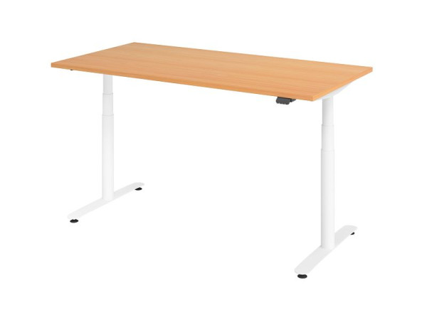 Hammerbacher zit-sta bureau elektrisch 160x80cm beuken/wit, VXDLR16/6/W