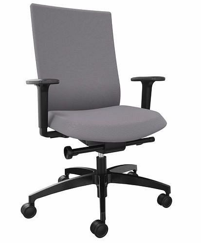 DENIOS bureaustoel AdJust evo, Syncro-Evolution technologie, grijs, 292409