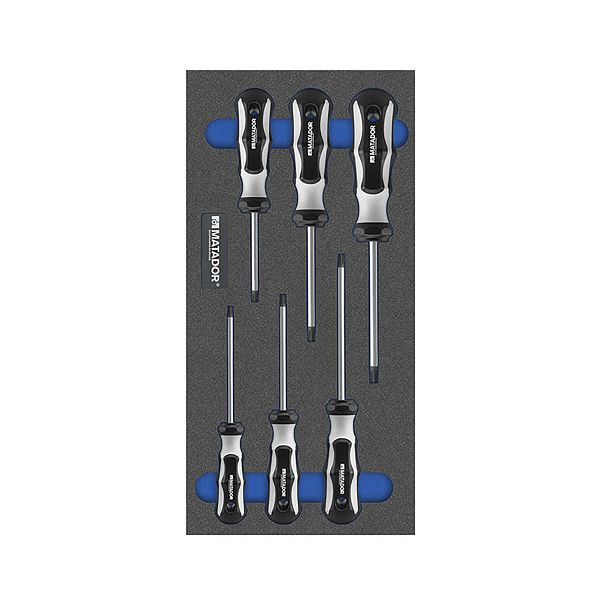 MATADOR-gereedschapsmodule: TORX®-schroevendraaier, 1/3: 390 x 193 mm, 8164 1620