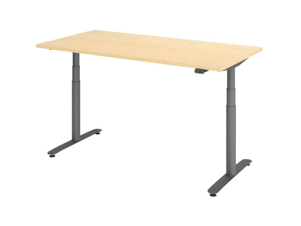 Hammerbacher zit-sta bureau elektrisch 160x80cm esdoorn/grafiet, VXDLR16/3/G