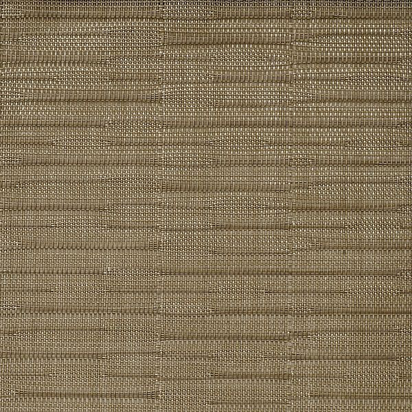 APS placemat - goud, 45 x 33 cm, PVC, smalle band, 60526